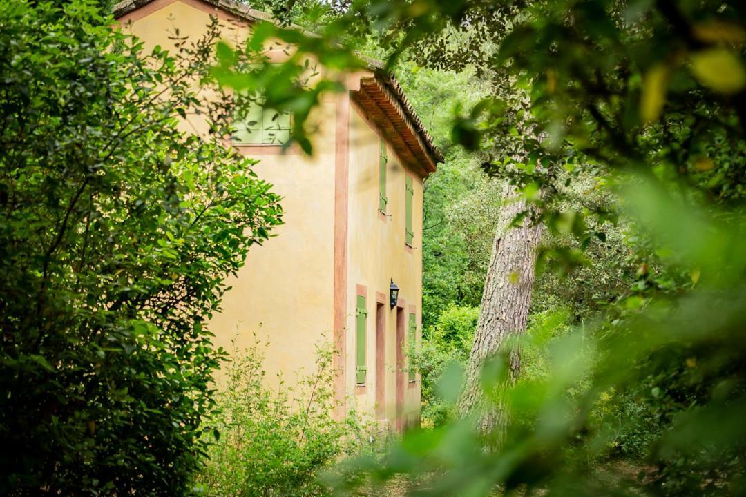Chateau Martinay Hotel Carpentras Kültér fotó